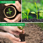 2025 Biodegradable Transplanter Pulp Paper Flower Plant Peat Pots Transplant Seedlings Pots Seed Germination Tray
