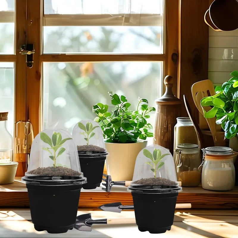 Plant Seedling Nutrition Cups Starting Grow Cup Flower Plant Container Mini Flowerpot Inside Succulents Gardening Box Planters