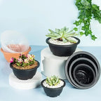 Large New Succulent Plant Pot Plastic Round Succulent Plant Pot Low Pot