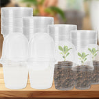 5Pcs Seedling Nursery Pots Transparent Pastic Flower Plant Seed Stater Cup with Cover Garden Mini Flowerpot Humidity Dome