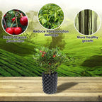 4 Packs Air Pruning Plant Root Control Nursery Pots Trainer Fast Root Grow Container Garden Bonsai Transplant Tool Nersery Pot