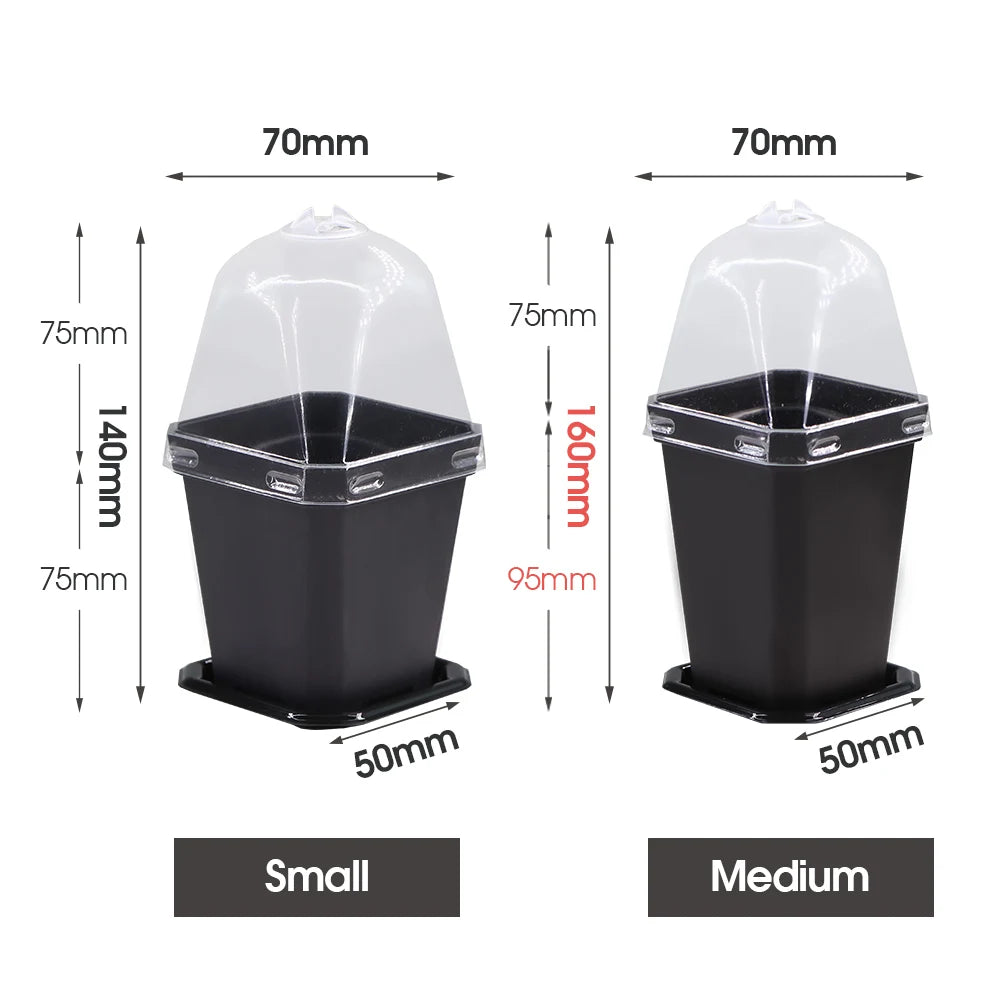 Sturdy Black Planter Pots with Tray Transparent Humidity Dome Cover Garden Greenhouse Seed Starter Germination Kit Flower Plante