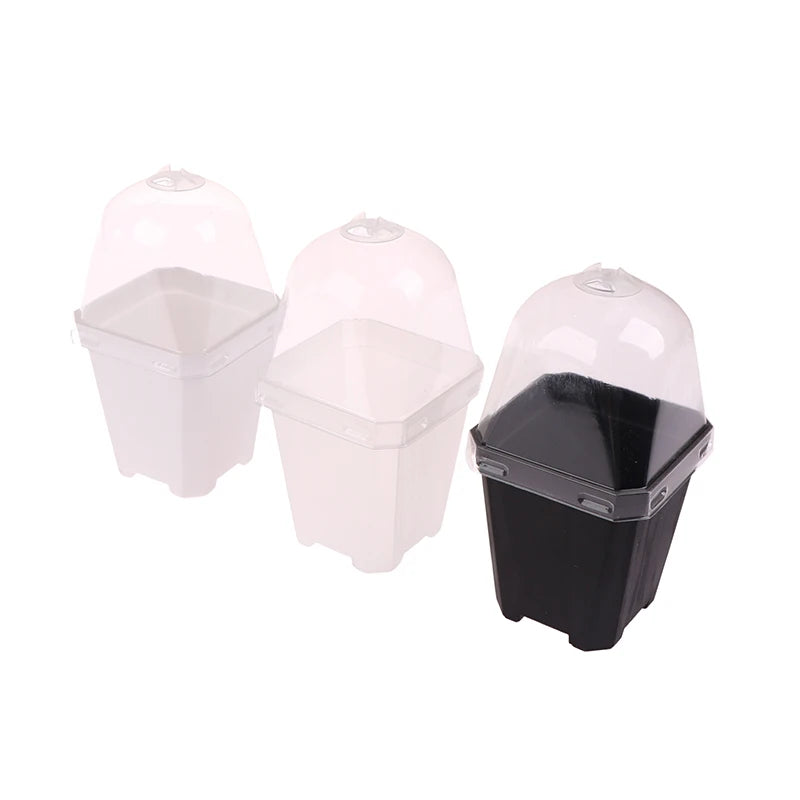 5Pcs Square Small Flower Pot Nursery Pot With Humidity Dome Transparent Gardening Pot Square Flower Starting Pots