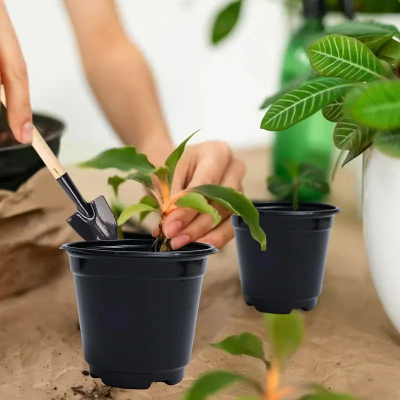 Plant Seedling Nutrition Cups Starting Grow Cup Flower Plant Container Mini Flowerpot Inside Succulents Gardening Box Planters