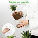 New 5PCS Round Seed Starter Tray Transparent Planter Nursery Pots With Drainage Hole For Orchid Plants Flowers Garden Tools