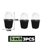 Plant Seedling Nutrition Cups Starting Grow Cup Flower Plant Container Mini Flowerpot Inside Succulents Gardening Box Planters