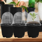 Plant Seedling Nutrition Cups Starting Grow Cup Flower Plant Container Mini Flowerpot Inside Succulents Gardening Box Planters