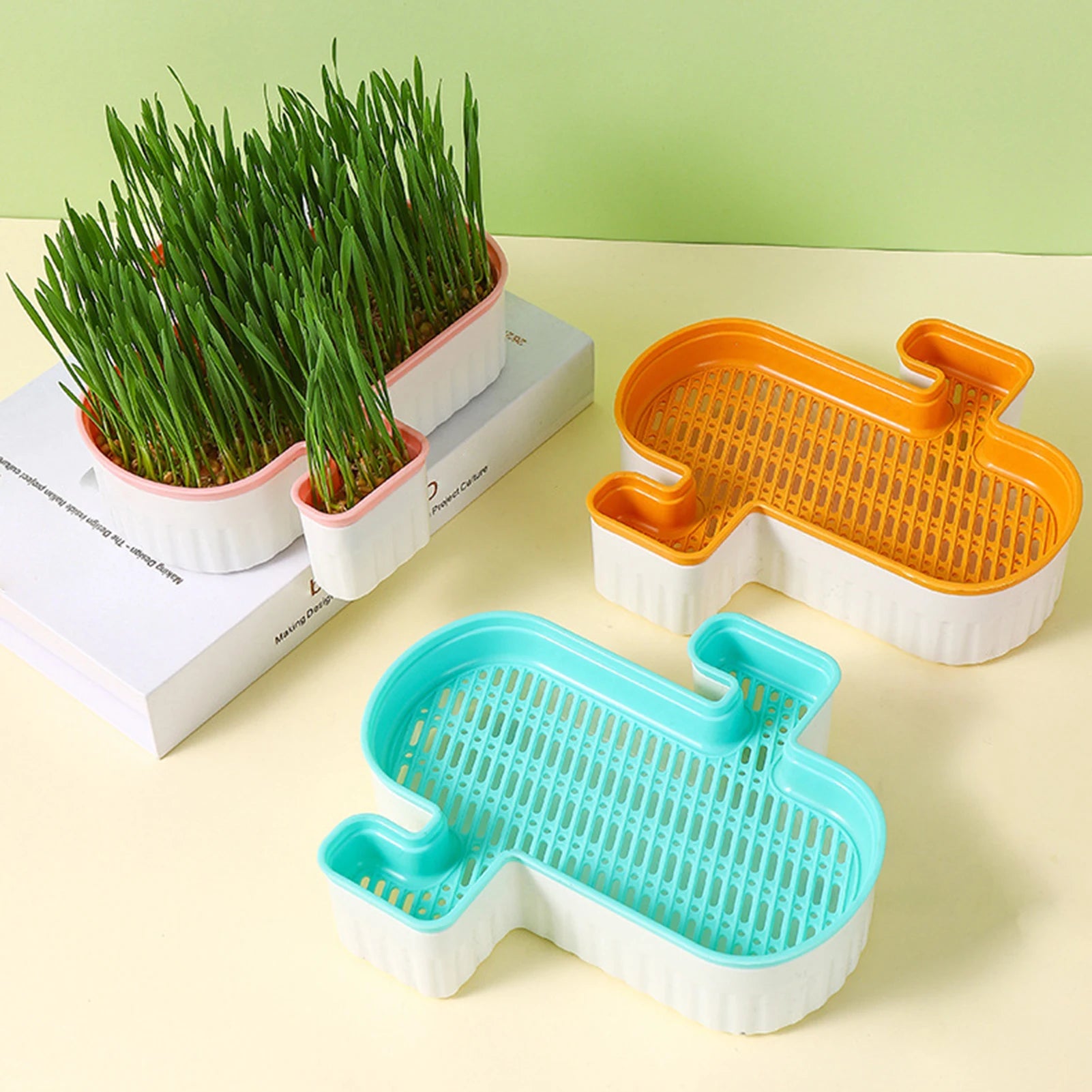 Cat Grass Nursery Pots Planter Soilless Hydroponic boxes Grass Planting Kit Nursery Box for Cats Pet Accessories