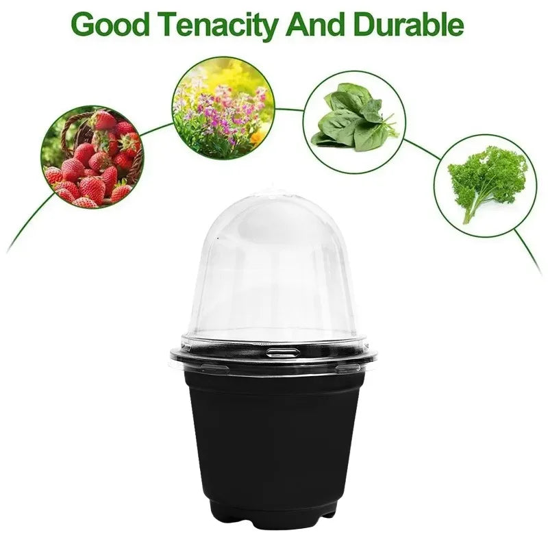 Plant Seedling Nutrition Cups Starting Grow Cup Flower Plant Container Mini Flowerpot Inside Succulents Gardening Box Planters