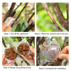 Plant Rooting Ball Propagation Root Box Reusable Plant Root Breeding Ball Garden Cuttings Grafting High Pressure Propagation Pot