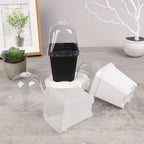 5Pcs Square Small Flower Pot Nursery Pot With Humidity Dome Transparent Gardening Pot Square Flower Starting Pots