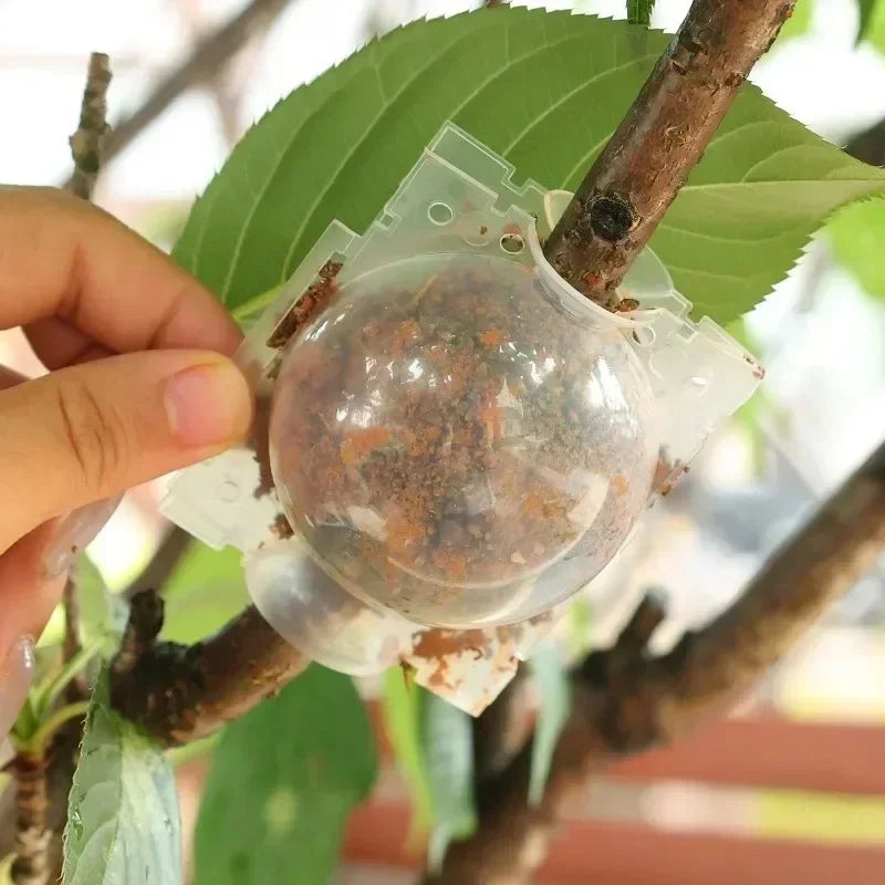 Plant Rooting Ball Propagation Root Box Reusable Plant Root Breeding Ball Garden Cuttings Grafting High Pressure Propagation Pot