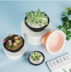 Large New Succulent Plant Pot Plastic Round Succulent Plant Pot Low Pot
