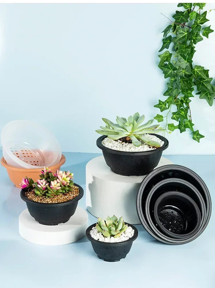 Large New Succulent Plant Pot Plastic Round Succulent Plant Pot Low Pot