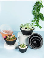 Large New Succulent Plant Pot Plastic Round Succulent Plant Pot Low Pot