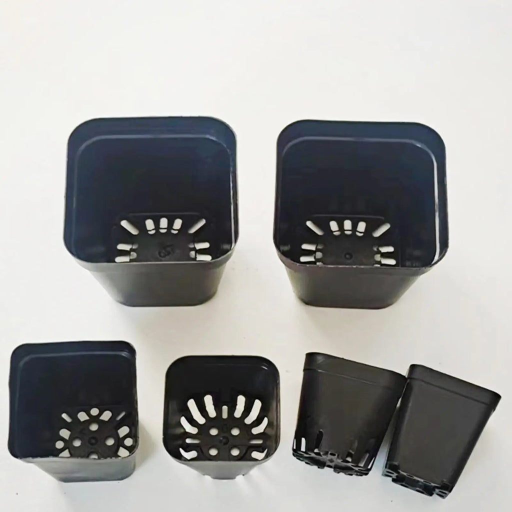 50Pcs Seedling Pots Square Plant Seeding- Planting Cup Plastic Deep Nursery Tree Pot Flower Plant Container Pot Garden Grow