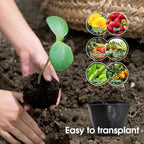 Black Plastic Seedling Pots Flower Plant Grow Container for Agriculture Vegetable Garden Nursery Transplant Growth Nutrition Bag