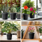 New 5PCS Round Seed Starter Tray Transparent Planter Nursery Pots With Drainage Hole For Orchid Plants Flowers Garden Tools