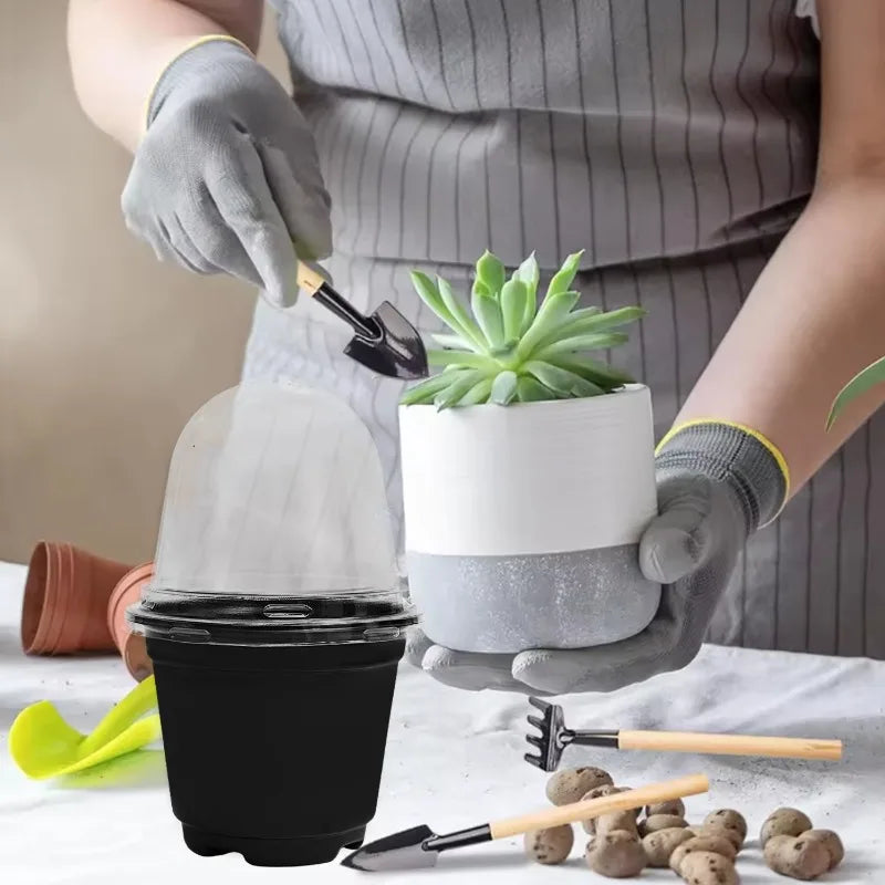 Plant Seedling Nutrition Cups Starting Grow Cup Flower Plant Container Mini Flowerpot Inside Succulents Gardening Box Planters