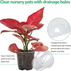 New 5PCS Round Seed Starter Tray Transparent Planter Nursery Pots With Drainage Hole For Orchid Plants Flowers Garden Tools
