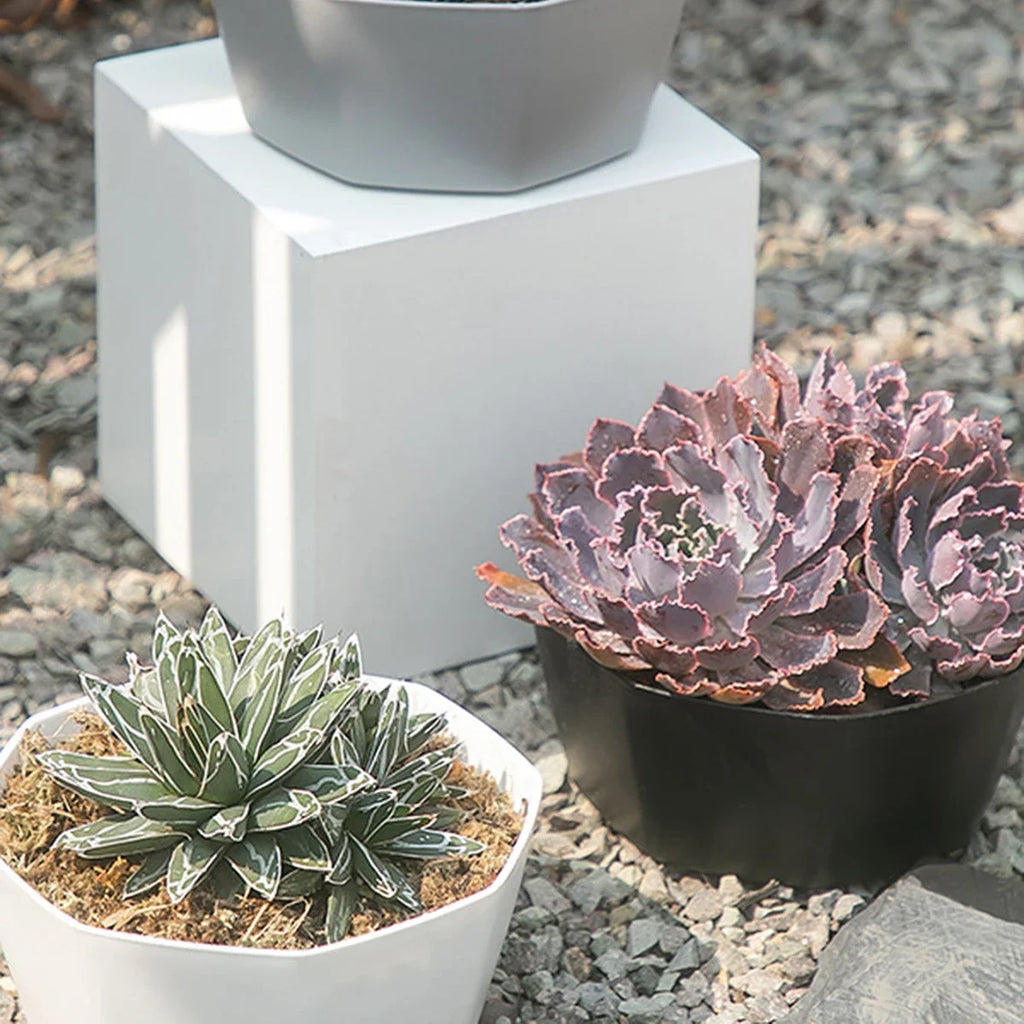 1PC succulent plant flowerpot large caliber flowerpot