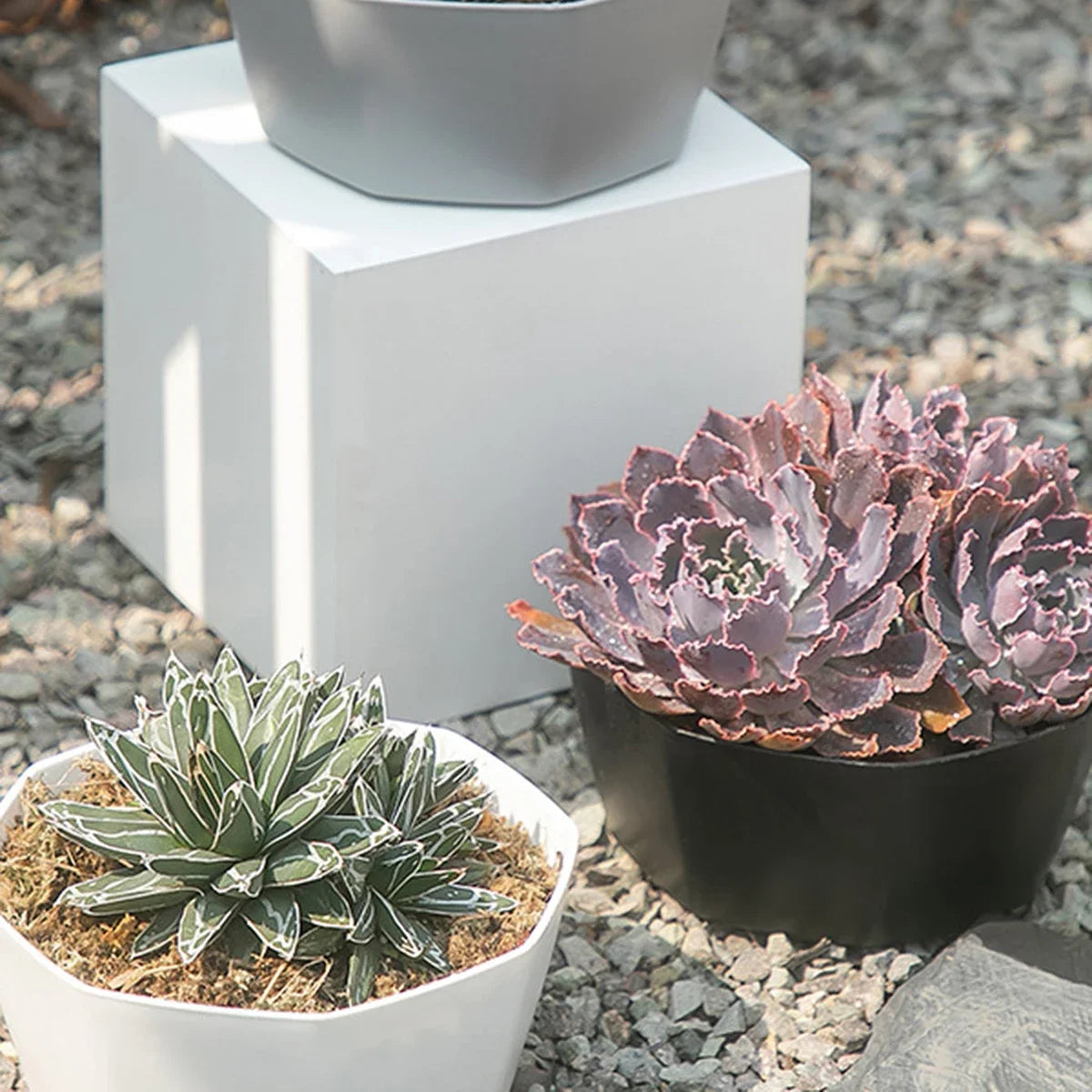 1PC succulent plant flowerpot large caliber flowerpot