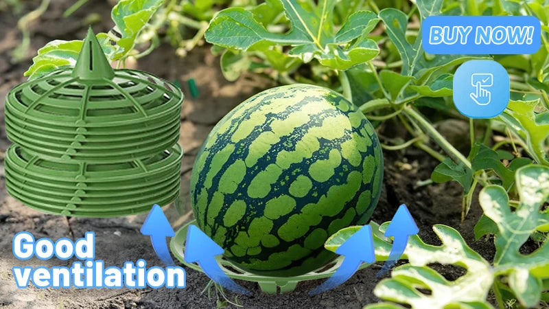 Plant Nursery Pots Humidity Dome Transparent Plastic Pot Planting Containers Cups Planter Small Seed Starting Trays Seedling