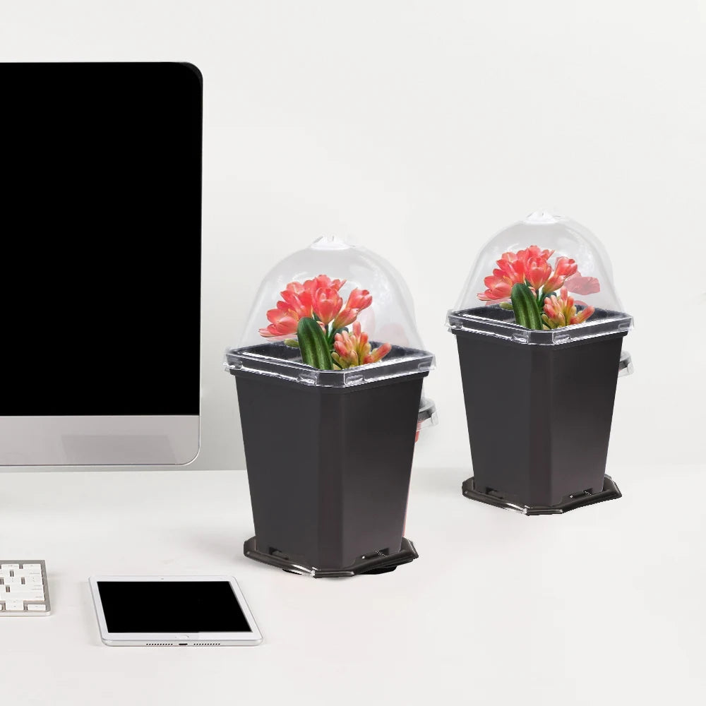 Sturdy Black Planter Pots with Tray Transparent Humidity Dome Cover Garden Greenhouse Seed Starter Germination Kit Flower Plante