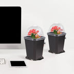 Sturdy Black Planter Pots with Tray Transparent Humidity Dome Cover Garden Greenhouse Seed Starter Germination Kit Flower Plante