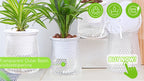 Plant Nursery Pots Humidity Dome Transparent Plastic Pot Planting Containers Cups Planter Small Seed Starting Trays Seedling