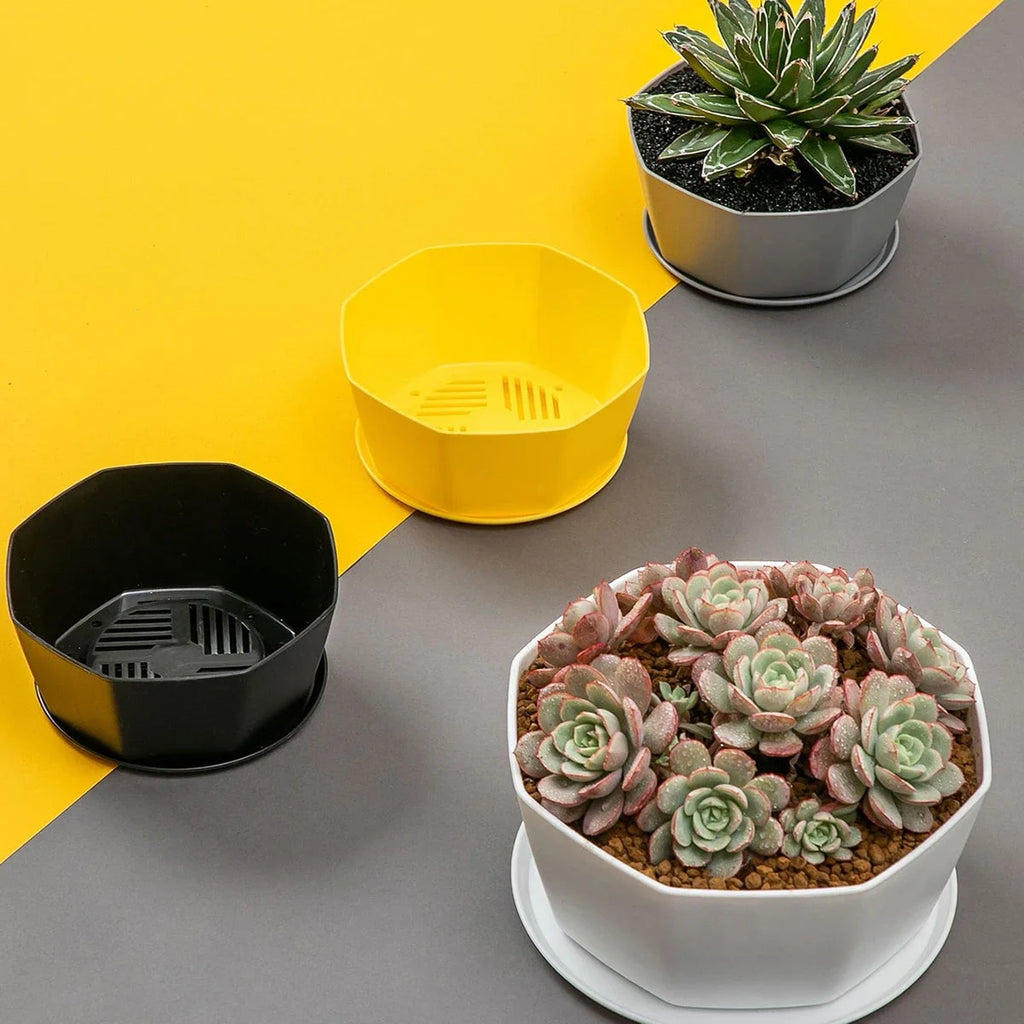 1PC succulent plant flowerpot large caliber flowerpot