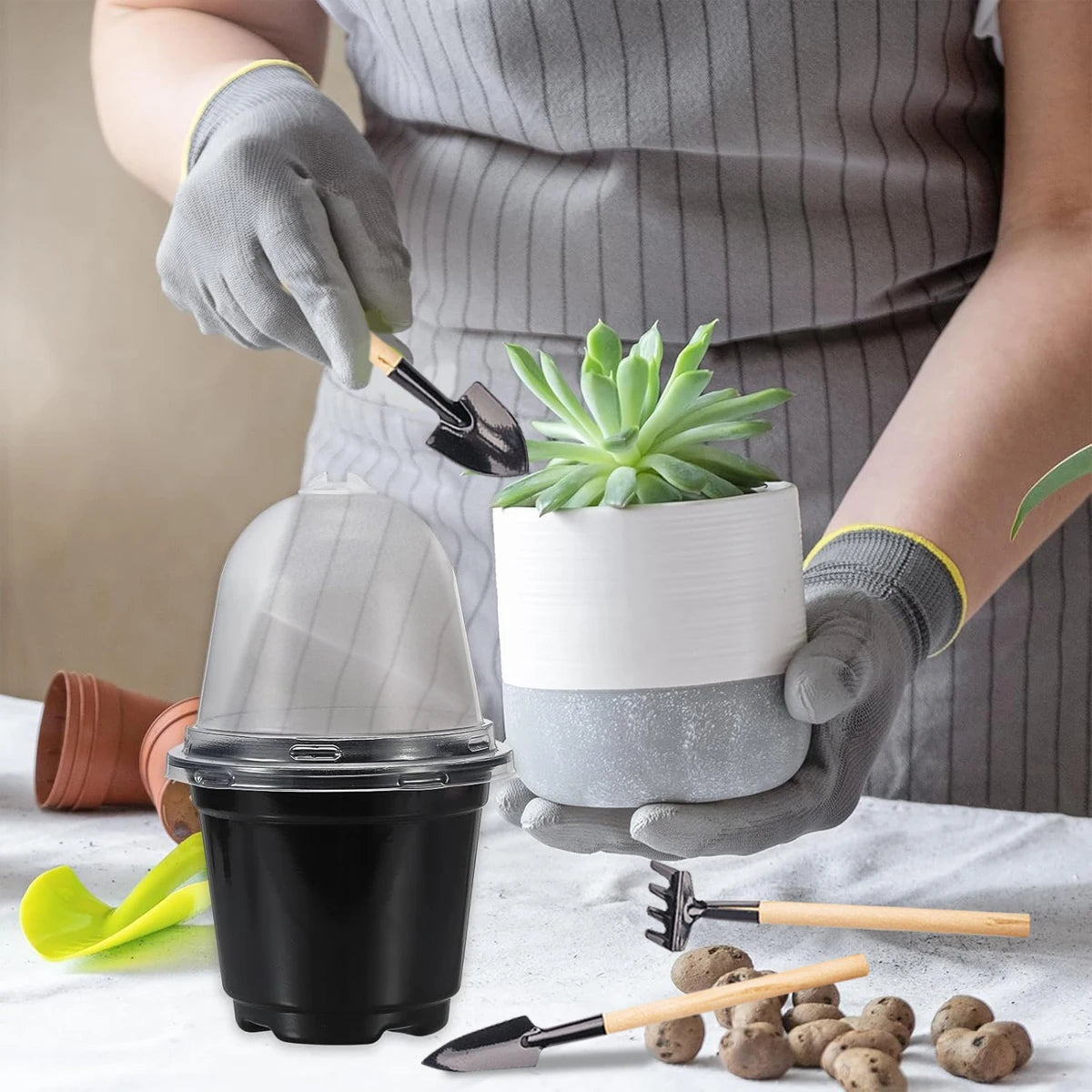 Plant Nursery Pots Humidity Dome Transparent Plastic Pot Planting Containers Cups Planter Small Seed Starting Trays Seedling