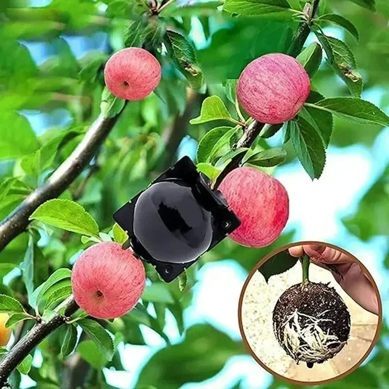 Plant Rooting Ball Propagation Root Box Reusable Plant Root Breeding Ball Garden Cuttings Grafting High Pressure Propagation Pot