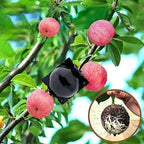 Plant Rooting Ball Propagation Root Box Reusable Plant Root Breeding Ball Garden Cuttings Grafting High Pressure Propagation Pot