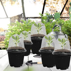 Plant Seedling Nutrition Cups Starting Grow Cup Flower Plant Container Mini Flowerpot Inside Succulents Gardening Box Planters