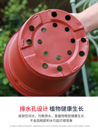 50/100pcs Seeding Nursery Pot Soft Plant Nursery Pots Flowerpot Plastic Grow Box Home Garden Planting Accessories 9-14cm