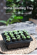 20 Hole Hydroponic Plant Seedling Pots with Intelligent Fill Light Seedling Tray for Fruit Vegetable Gardening Planting Supplies