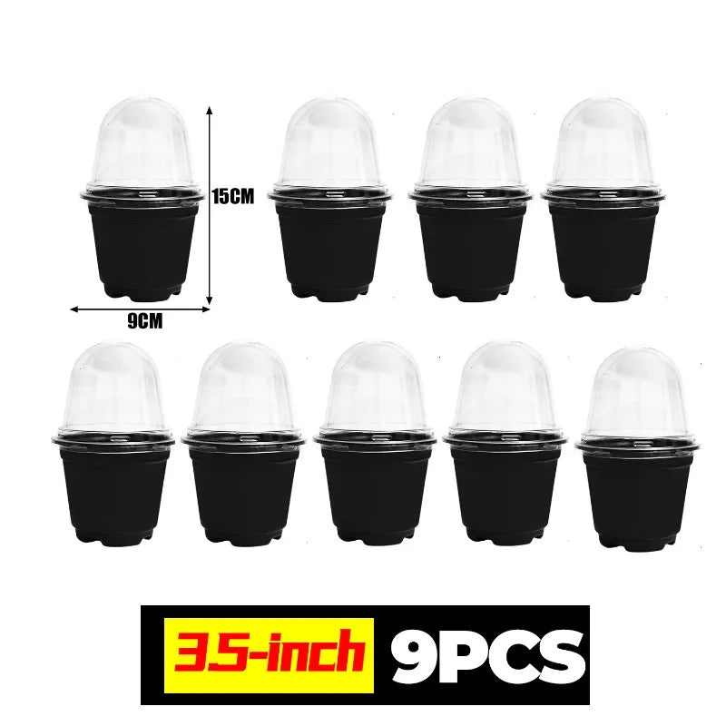 Plant Seedling Nutrition Cups Starting Grow Cup Flower Plant Container Mini Flowerpot Inside Succulents Gardening Box Planters