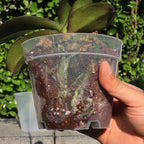 New 5PCS Round Seed Starter Tray Transparent Planter Nursery Pots With Drainage Hole For Orchid Plants Flowers Garden Tools