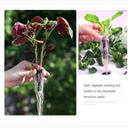 20 Hole Hydroponic Plant Seedling Pots with Intelligent Fill Light Seedling Tray for Fruit Vegetable Gardening Planting Supplies