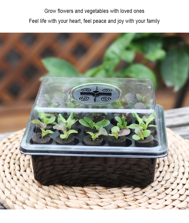 20 Hole Hydroponic Plant Seedling Pots with Intelligent Fill Light Seedling Tray for Fruit Vegetable Gardening Planting Supplies