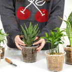 New 5PCS Round Seed Starter Tray Transparent Planter Nursery Pots With Drainage Hole For Orchid Plants Flowers Garden Tools