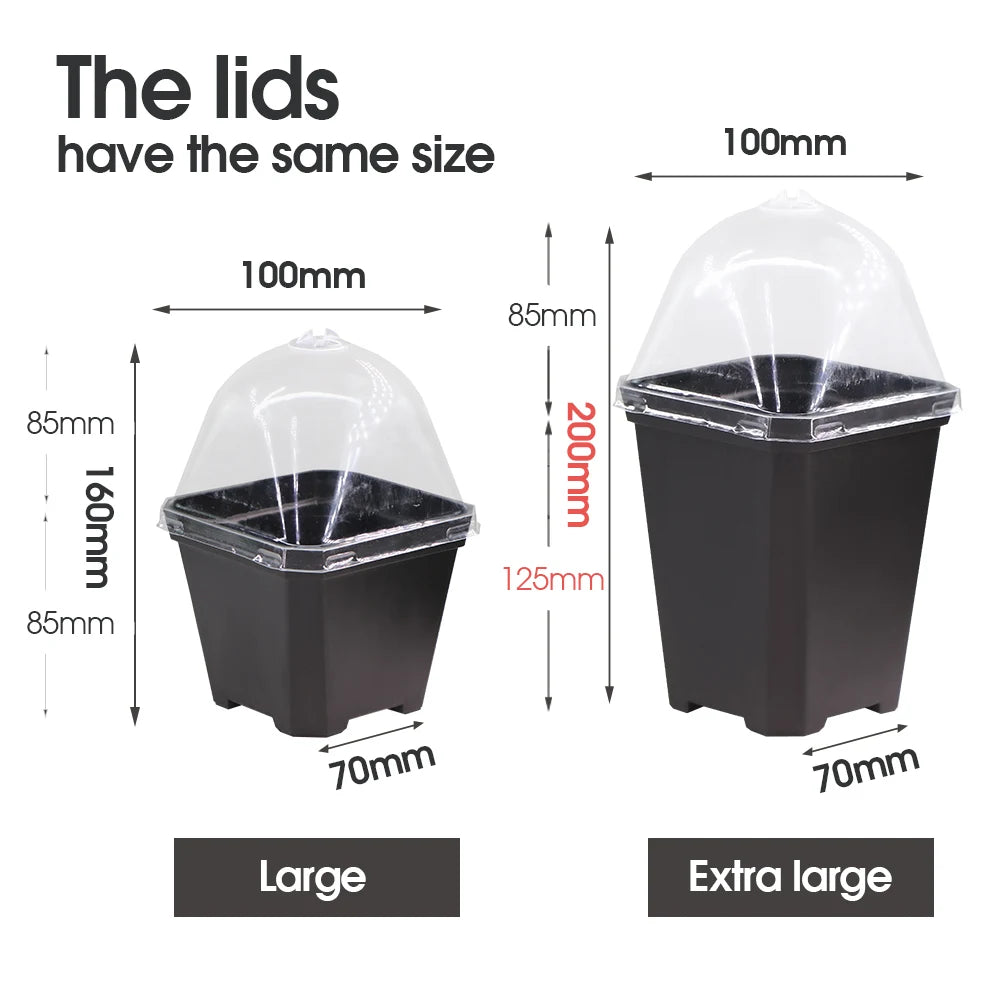 Sturdy Black Planter Pots with Tray Transparent Humidity Dome Cover Garden Greenhouse Seed Starter Germination Kit Flower Plante