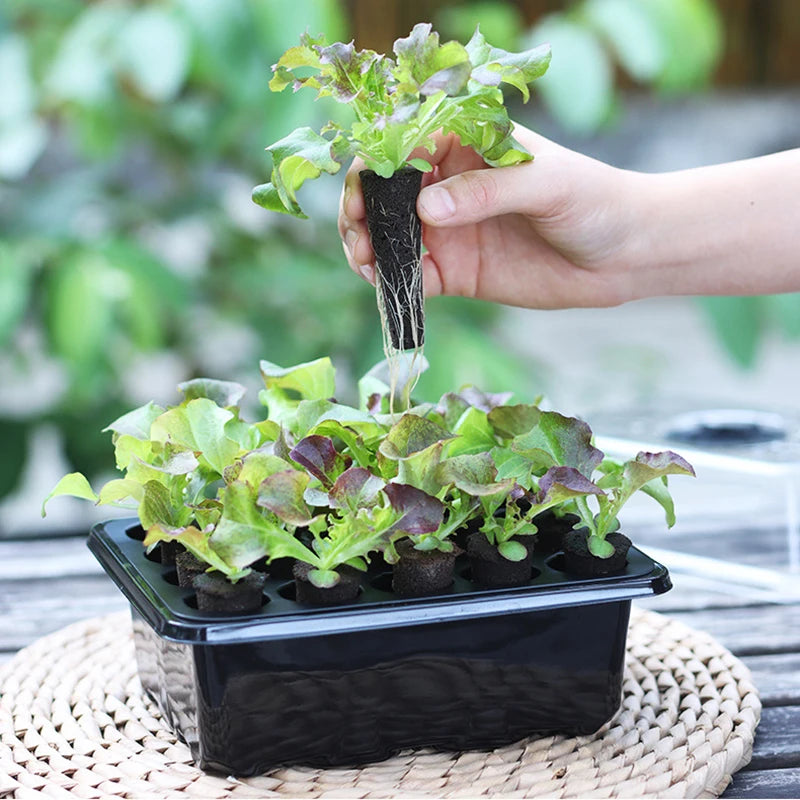 20 Hole Hydroponic Plant Seedling Pots with Intelligent Fill Light Seedling Tray for Fruit Vegetable Gardening Planting Supplies