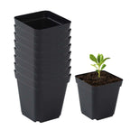 50Pcs Seedling Pots Square Plant Seeding- Planting Cup Plastic Deep Nursery Tree Pot Flower Plant Container Pot Garden Grow