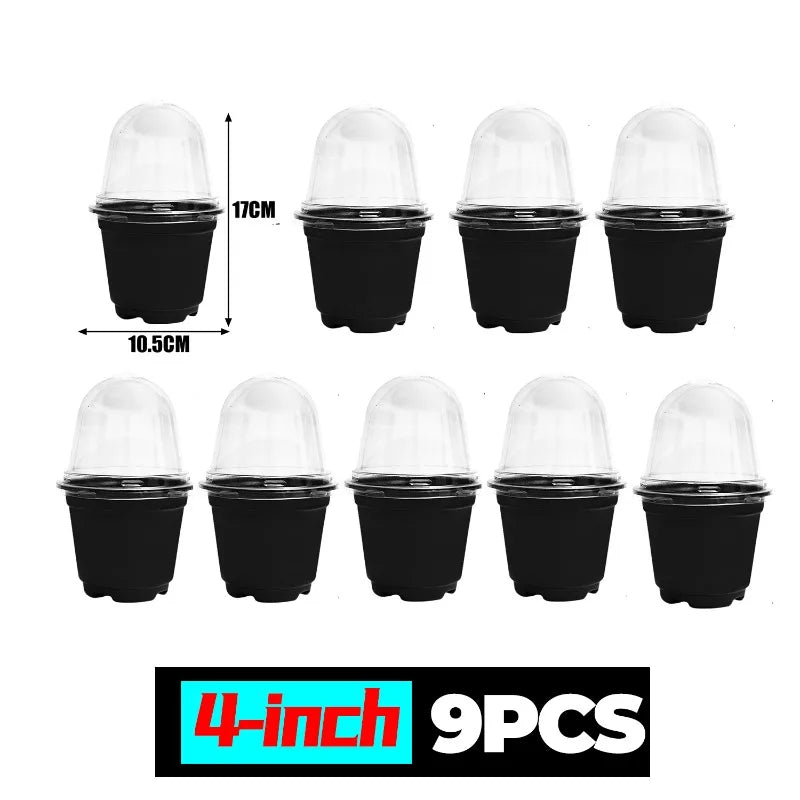 Plant Seedling Nutrition Cups Starting Grow Cup Flower Plant Container Mini Flowerpot Inside Succulents Gardening Box Planters