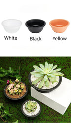 Large New Succulent Plant Pot Plastic Round Succulent Plant Pot Low Pot