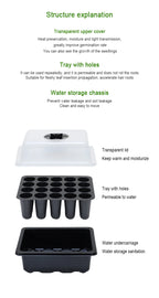20 Hole Hydroponic Plant Seedling Pots with Intelligent Fill Light Seedling Tray for Fruit Vegetable Gardening Planting Supplies
