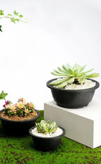 Large New Succulent Plant Pot Plastic Round Succulent Plant Pot Low Pot