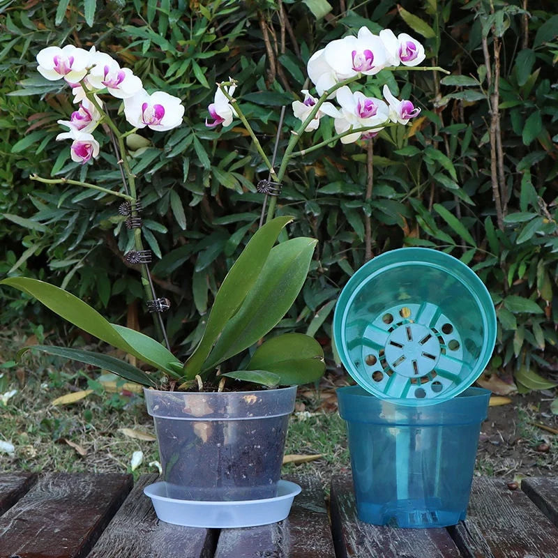 New 5PCS Round Seed Starter Tray Transparent Planter Nursery Pots With Drainage Hole For Orchid Plants Flowers Garden Tools